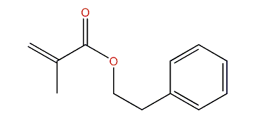 Phenethyl methacrylate